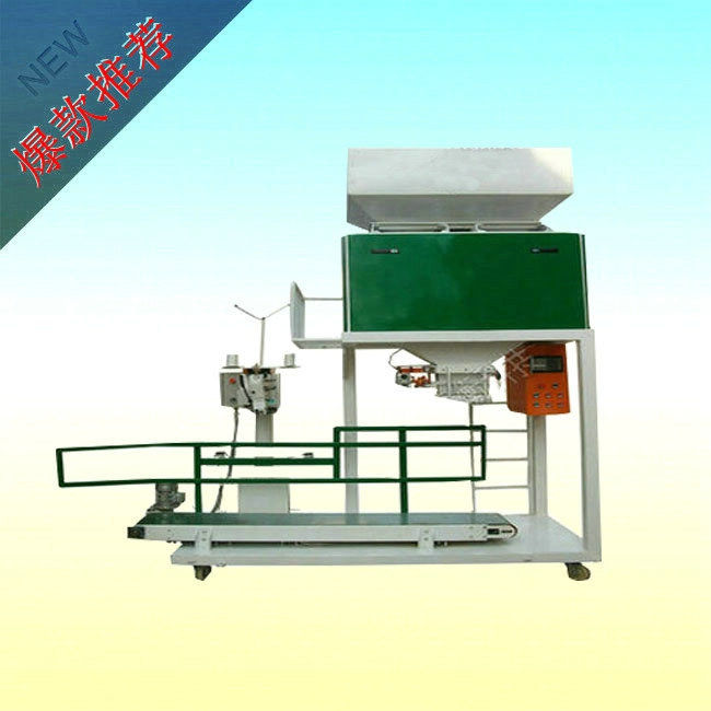 ����ԄӶ�����